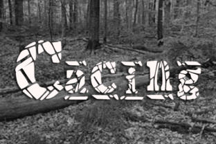 Cacing: A Display Font for Editorial Expression