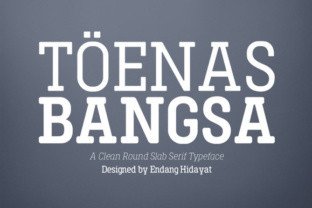 Toenas Bangsa: A Serif Font for Modern Web Design