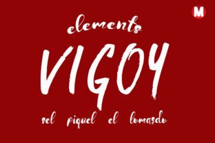 Vigoy: The Font That Elevates Your Campaigns